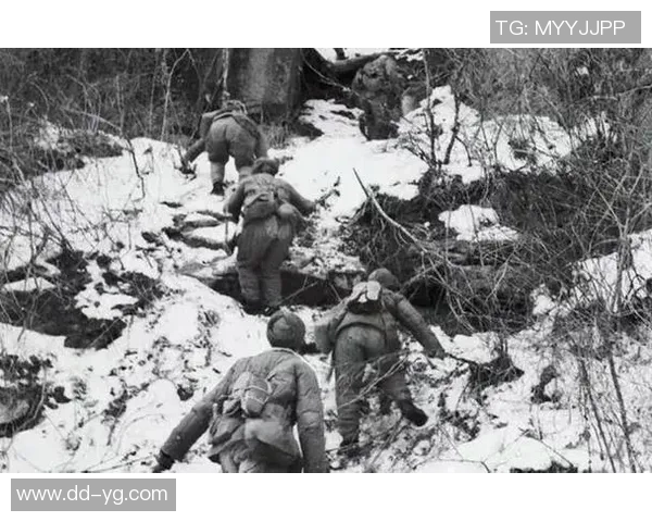 波鸿与马格德的激烈对决解析及双方战术布局探讨